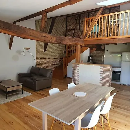 De Charme Appartement Villemur-sur-Tarn